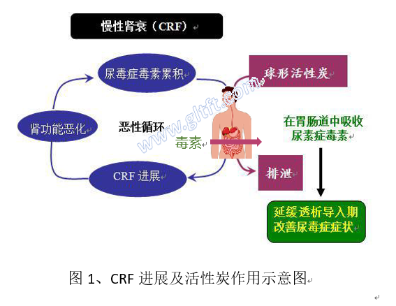 fig1-CRF進展及活性炭作用示意圖